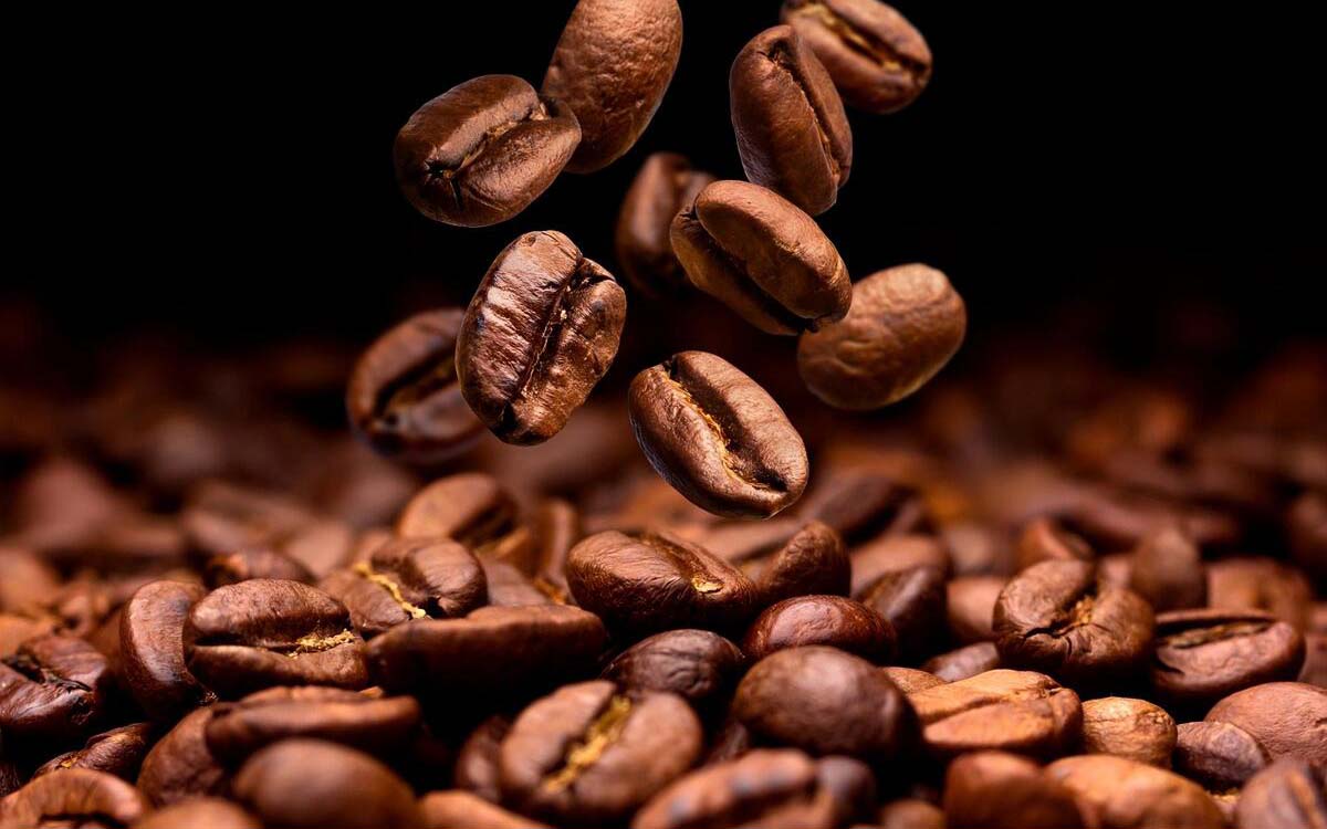 Coffee Arabica
